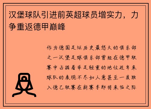 汉堡球队引进前英超球员增实力，力争重返德甲巅峰